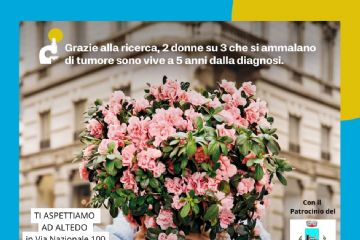 L'azalea della ricerca