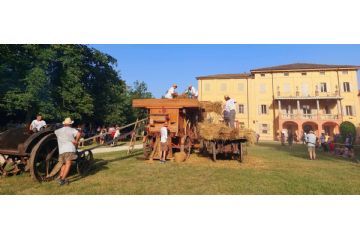 Festa della trebbiatura, Open Day del Gusto