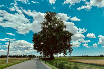 Bilancio preventivo 2026–2028: incontro pubblico aperto alla cittadinanza e alle associazioni