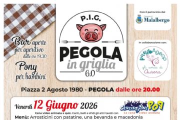 P.I.G. Pegola in Griglia